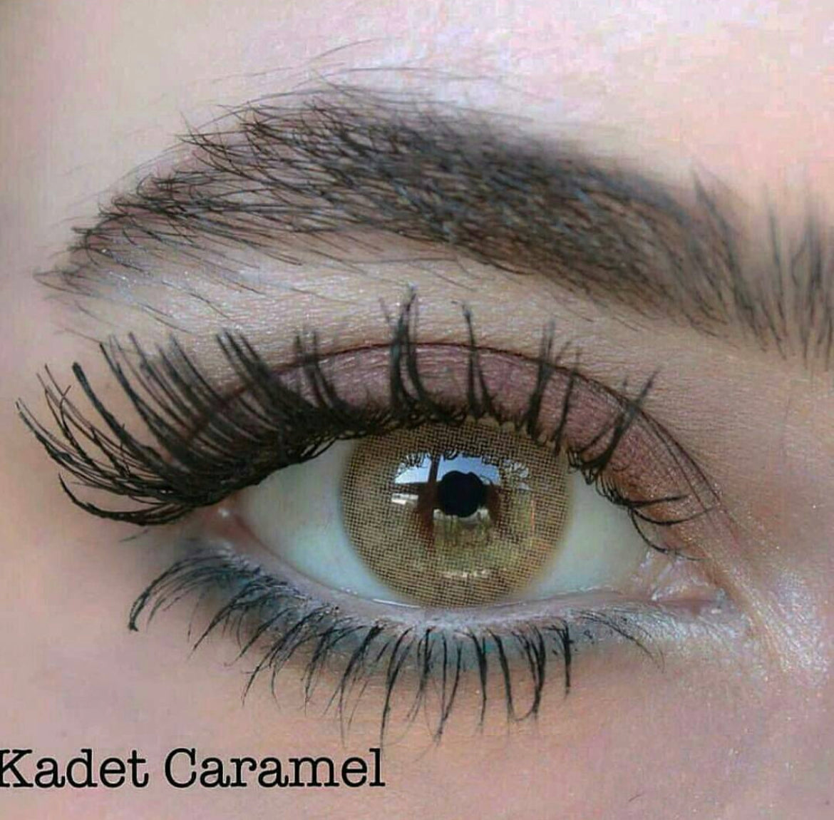 Lorans Kadet Caramel Medical Lens (Expiry: 08/2024)