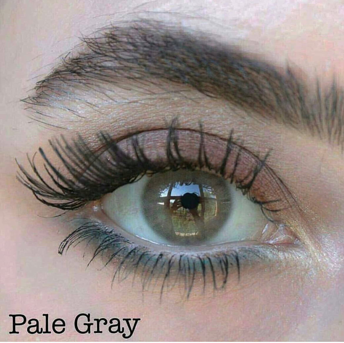 Lorans Pale Gray Medical (Expiry 04/2025) لورانس بيل قراي - طبي