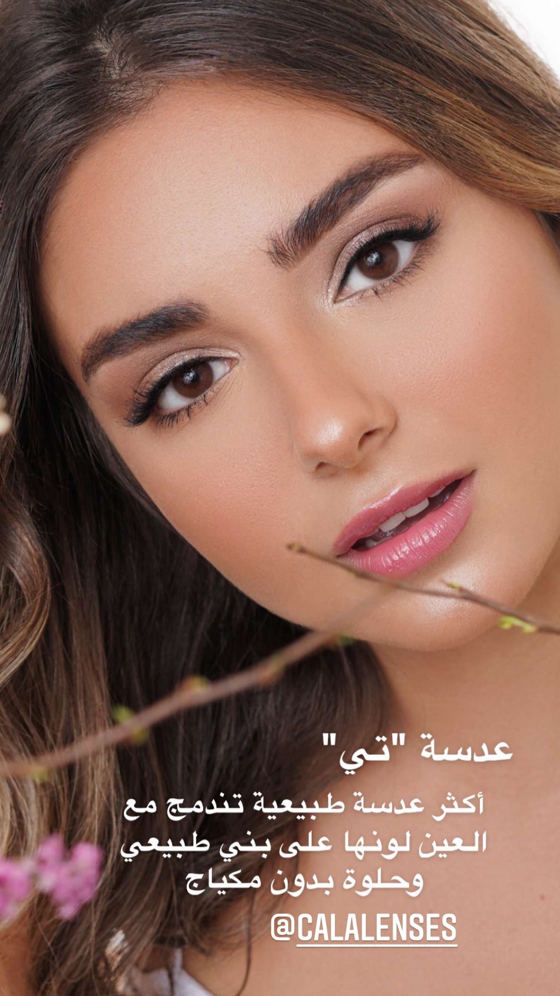 Lensme Tea @ لنس مي - تي