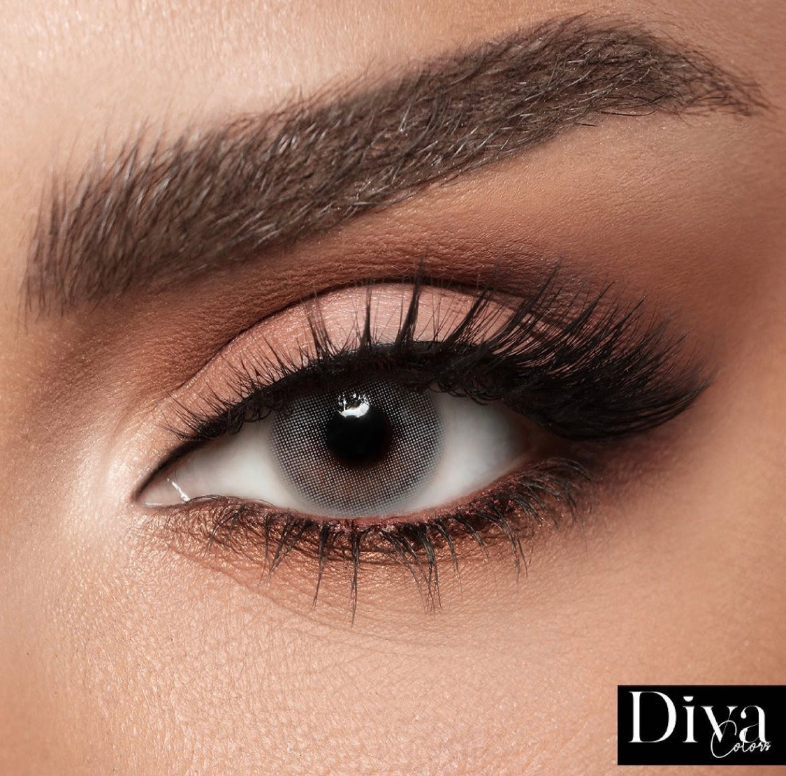 Diva Navy @ ديفا - نيفي Medical (Valid until: 02/2026)
