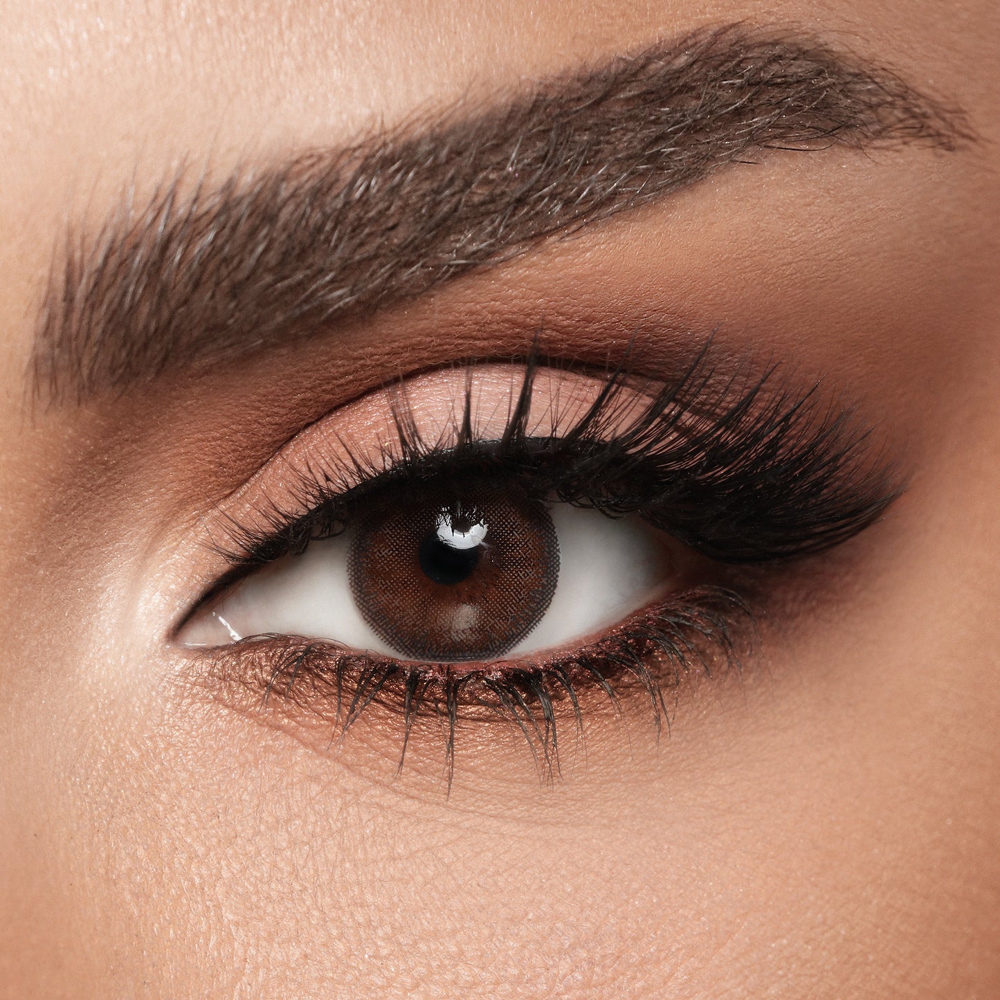 Diva Cedar @ ديفا - سيدار